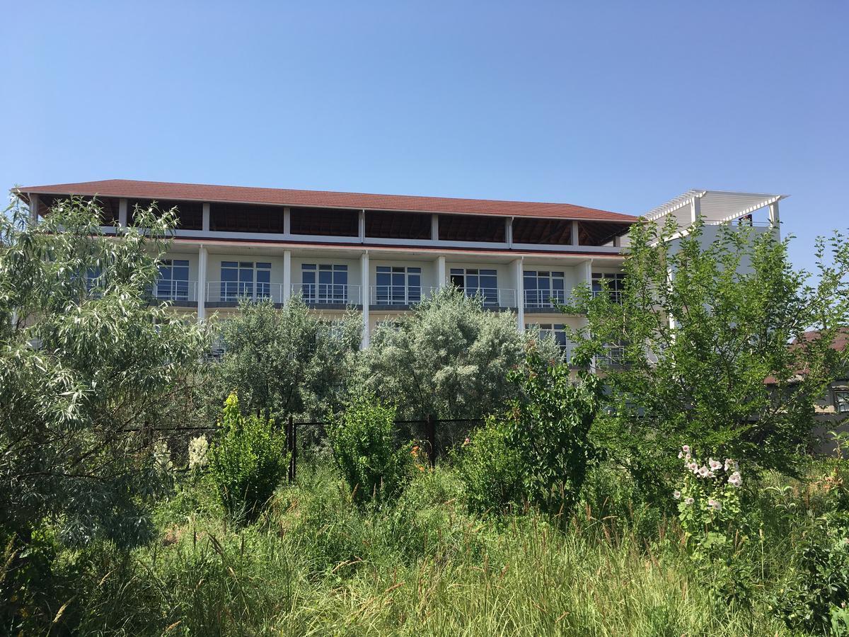 Kauri Panzió Zatoka Kültér fotó